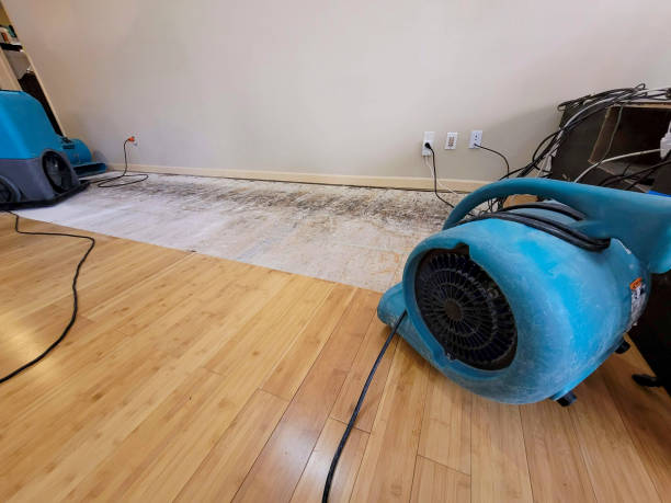 Professional Sewage Cleanup technician working in Selma, AL